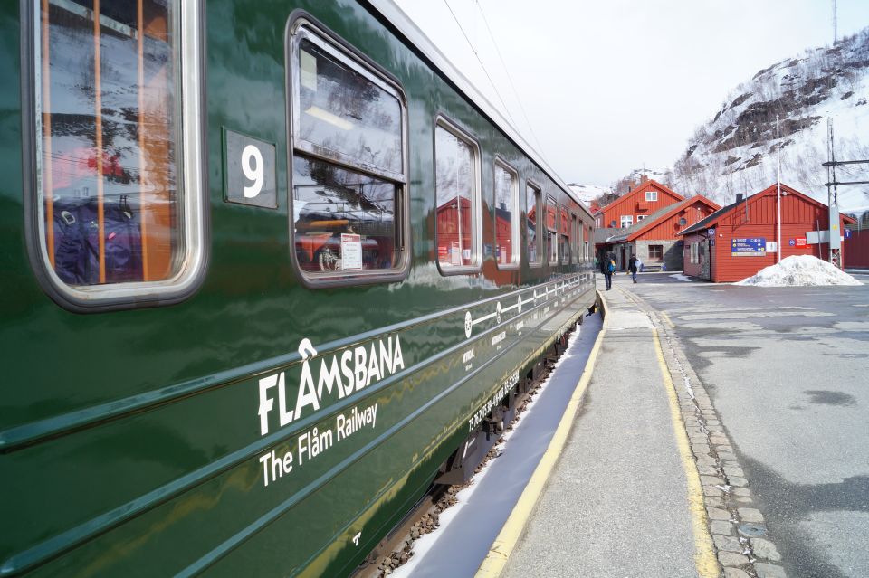 Bergen: Viking Village, Nærøyfjord Cruise & Flåm Railway - Who Will Love This Tour?