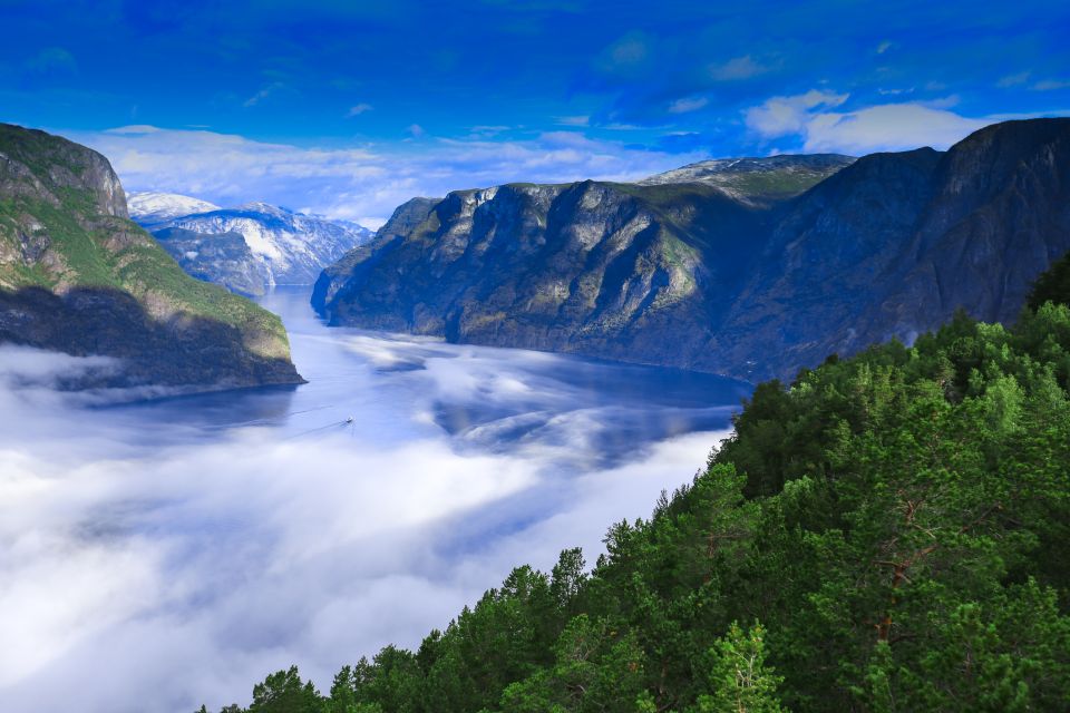 Bergen: Viking Village, Nærøyfjord Cruise & Flåm Railway - A Deep Dive into the Bergen: Viking Village, Nærøyfjord Cruise & Flåm Railway Experience