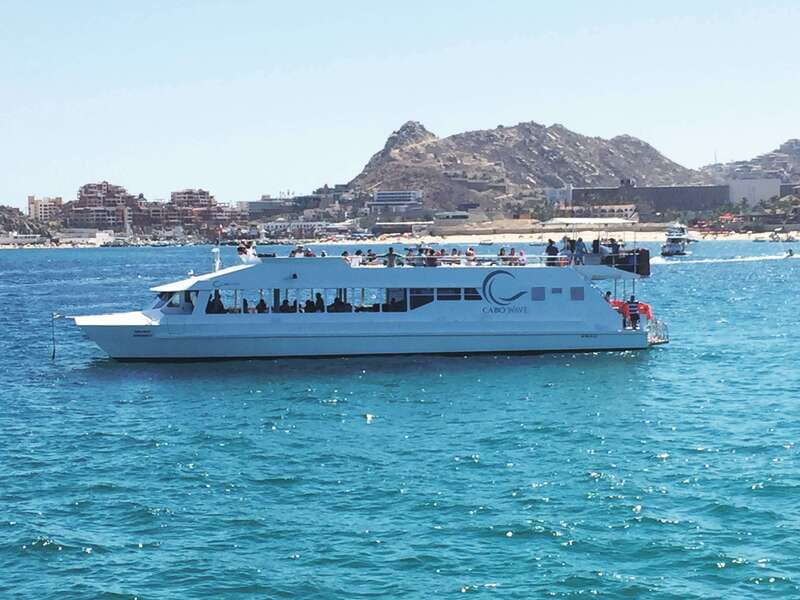 Cabos: Cabo Wave Cruise with Snorkeling, Lunch & Open Bar - Why This Tour Works for Travelers