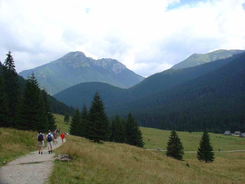 Krakow: Tatra Mountains and Zakopane Full-Day Private Tour - Evaluating the Value