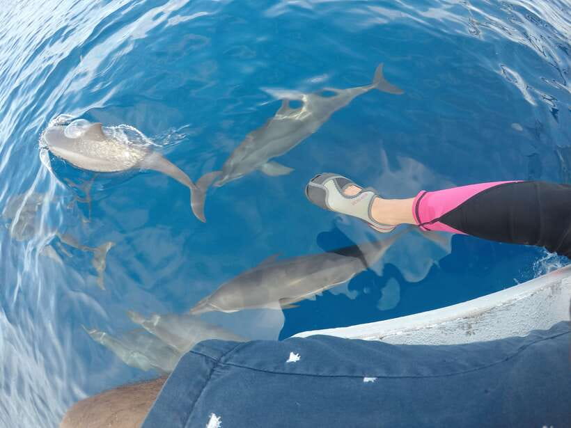 Dumaguete: Dolphin Watching & Manjuyod Sandbar Private Tour - Final Thoughts