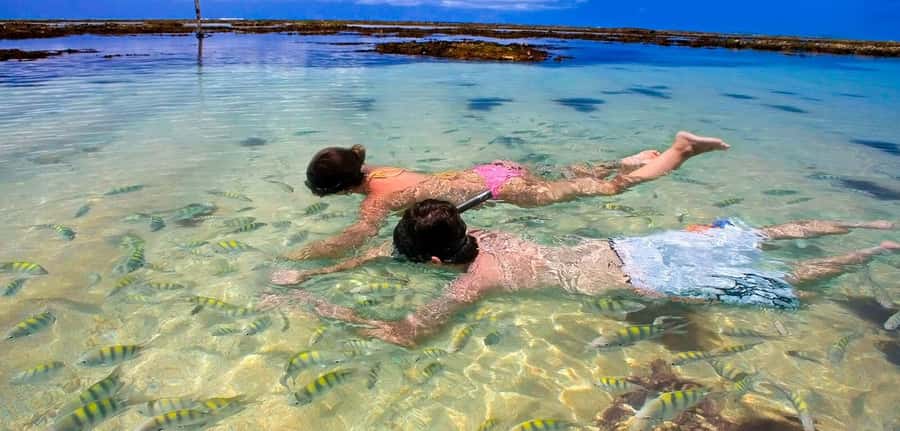 Praia de Paripueira Beach Day Tour - Exploring the Paripueira Experience