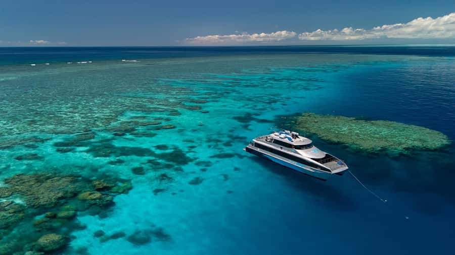 Port Douglas: Silversonic Great Barrier Reef Dive & Snorkel - Frequently Asked Questions