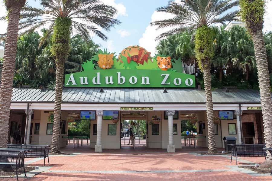 New Orleans: Audubon Zoo or Combo Ticket - A Detailed Look at Your Visit to Audubon Zoo