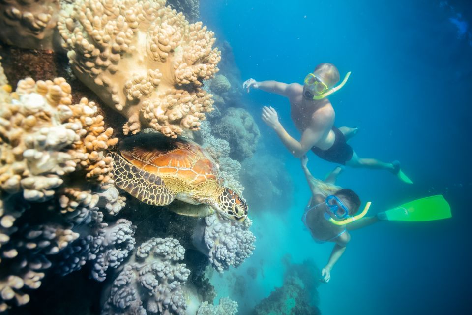 Cairns: Green Island Snorkelling or Glass Bottom Boat - FAQ