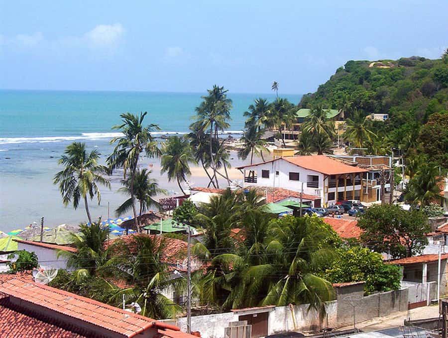 From Natal: Pipa, Cacimbinhas, And Love Beach Full-Day Tour - Real Traveler Perspectives