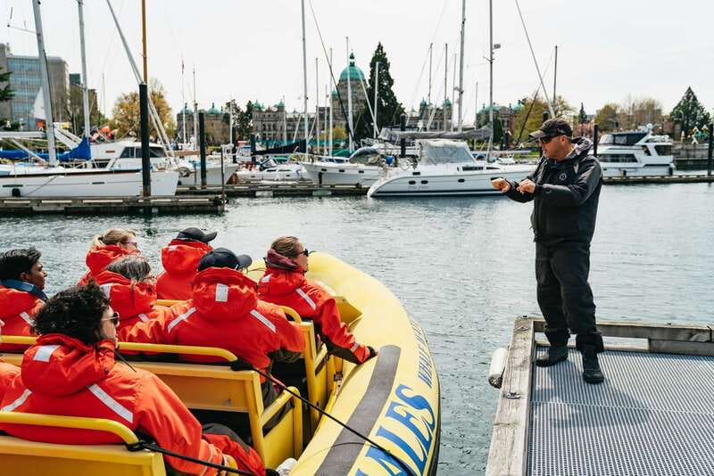 Victoria: Whale Watching Adventure in a Zodiac Boat - Key Points