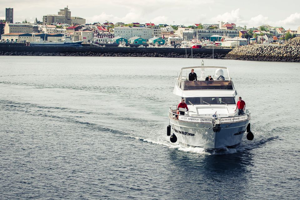 Reykjavik: Whale Watching and Dolphin Watching Yacht Cruise - Setting Sail from Reykjavik: What You Can Expect