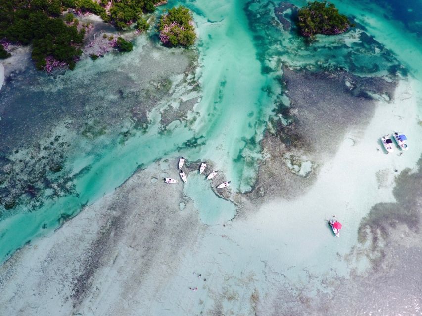 Key West: Eco Safari Sandbar Tour with Snorkeling - Who Will Love This Tour?