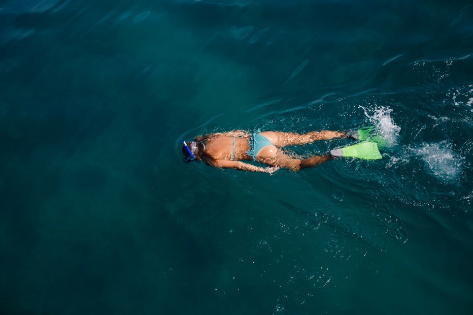 Key West: Eco Safari Sandbar Tour with Snorkeling - Value and Practicalities