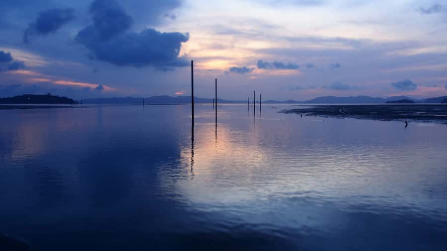 Phuket to Phi Phi Full-Day Luxury Speed Boat Charter - Wildlife Encounters: Monkey Beach & Viking Cave