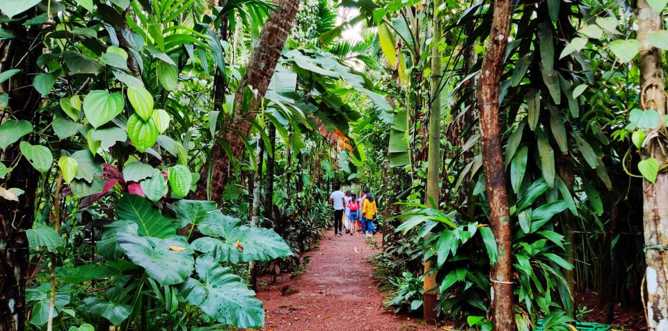 Goa: Private Full-Day Sightseeing Highlights Tour - Spice Plantation: An Aromatic Detour