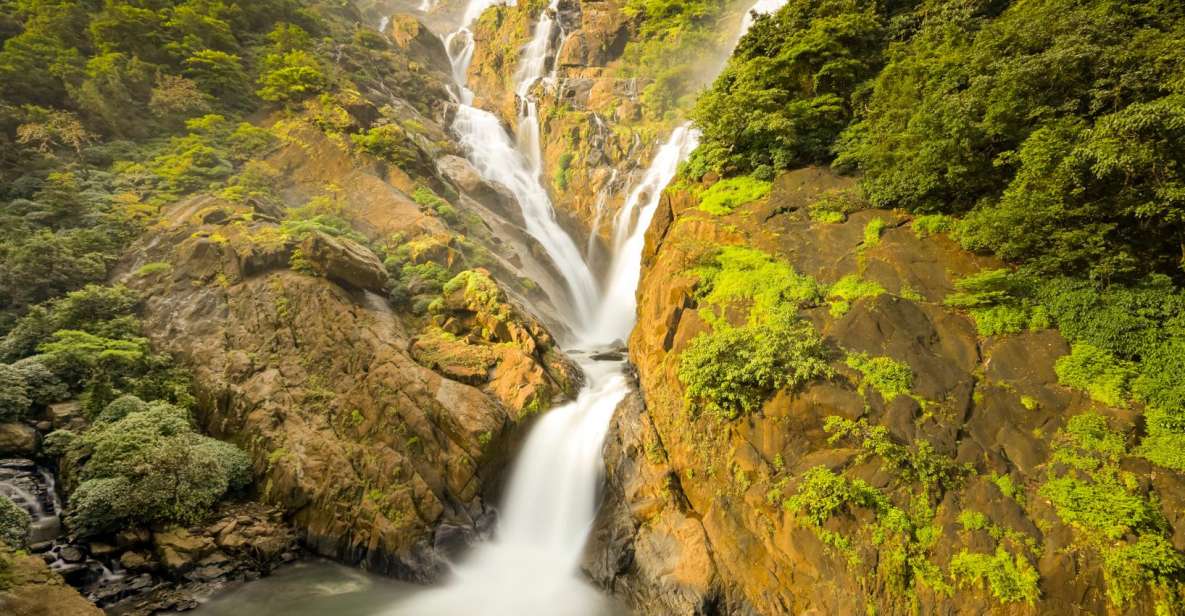 From Goa: Dudhsagar Waterfalls & Plantation Tour - Spice Plantation Tour: Aromas and Insights