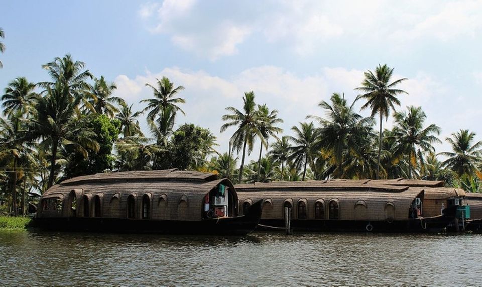 Cochin: Alleppey Backwater Private Day Cruise by Houseboat - Why This Tour Works: What Makes It Special?