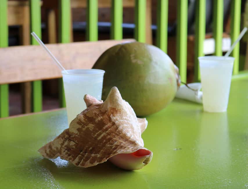 St. Kitts: Nevis Island Tour and Beach Time with Lunch - The Value of This Tour