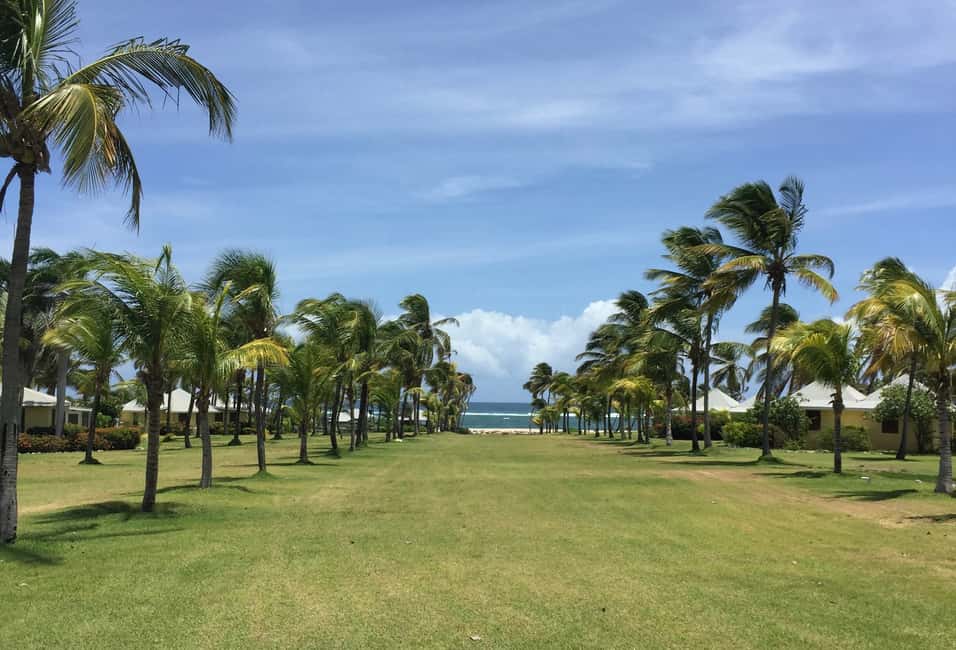 St. Kitts: Nevis Island Tour and Beach Time with Lunch - Exploring Nevis from St. Kitts: A Balanced Blend of Adventure and Relaxation