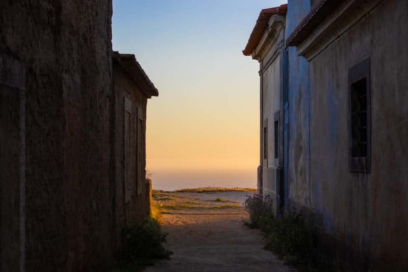 Sesimbra & Arrábida National Park Tour with 5 Wines Tasting - The Vineyards and Wine Tasting