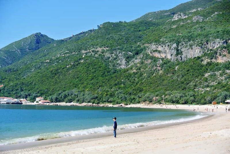 Sesimbra & Arrábida National Park Tour with 5 Wines Tasting - A Day of Natural Beauty and Local Flavors