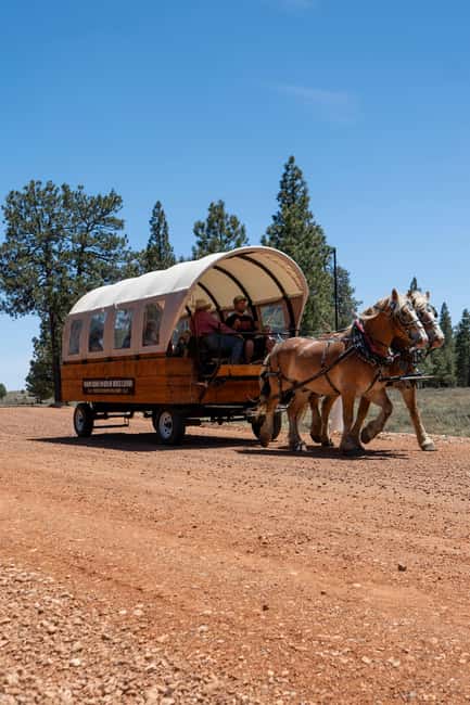 Bryce Canyon City: Wagon Ride to the Rim of Bryce Canyon - The Experience: What to Expect on the Wagon Ride
