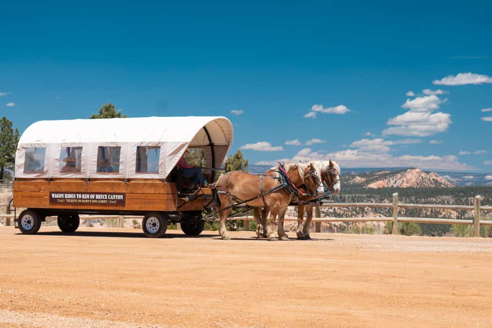 Bryce Canyon City: Wagon Ride to the Rim of Bryce Canyon - Who Should Consider This Tour?