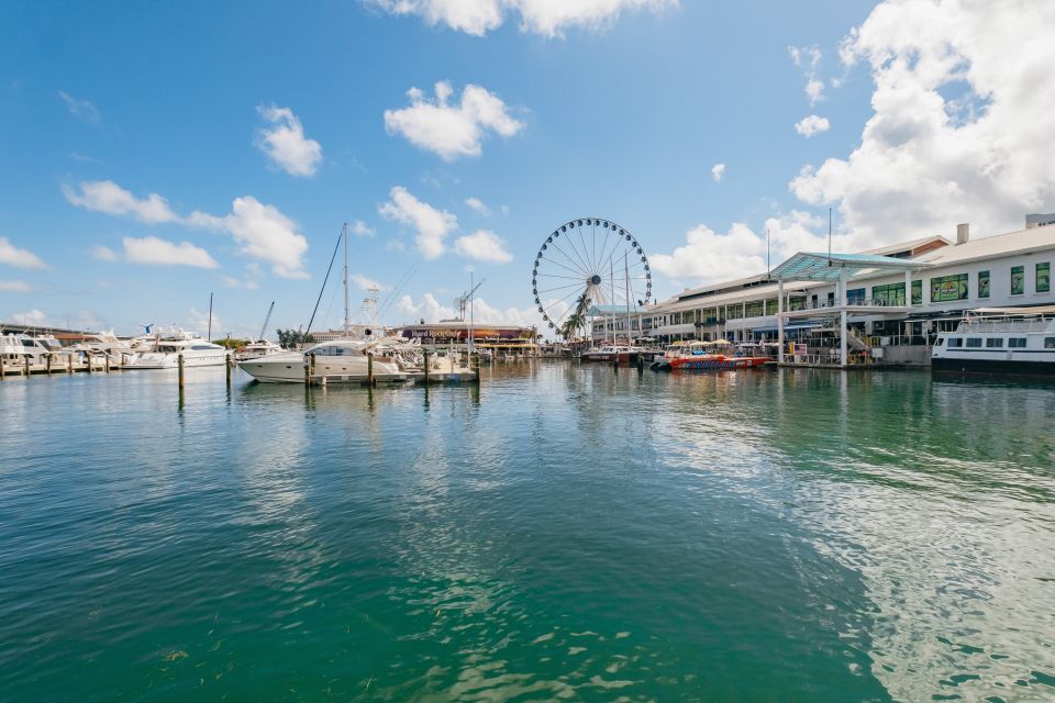 Miami: Panoramic Open-Top Bus Tour & Biscayne Bay Cruise - The Land Experience: The Open-Top Bus Tour