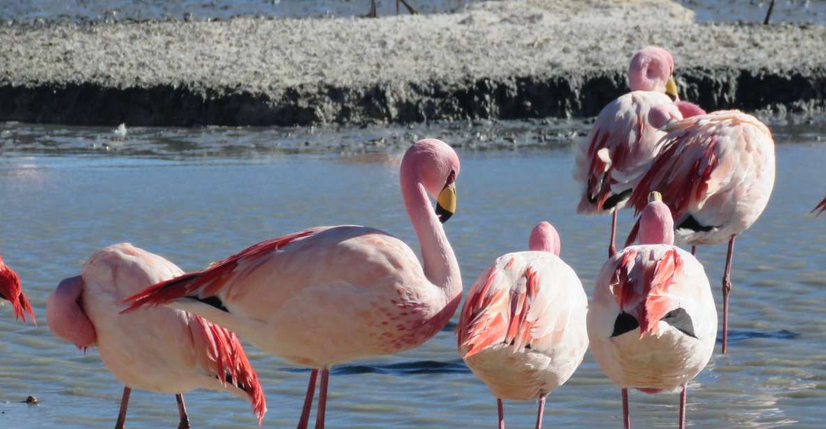 La Paz: 6-Day Private Best-of-Bolivia Tour with Flights - Key Points