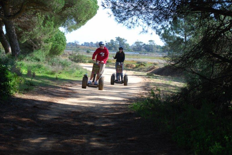 Faro: Ria Formosa Natural Park Segway Tour & Birdwatching - Who Should Consider This Tour?