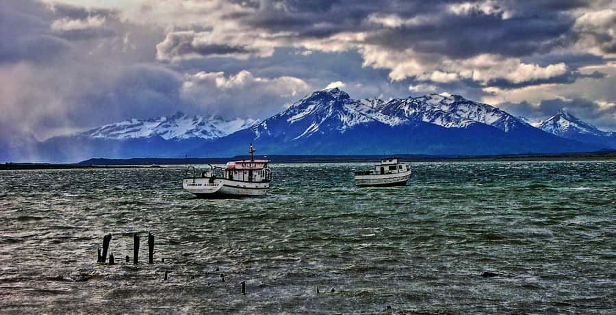 Ushuaia: Beagle Channel Boat Tour and Penguin Experience - Key Points