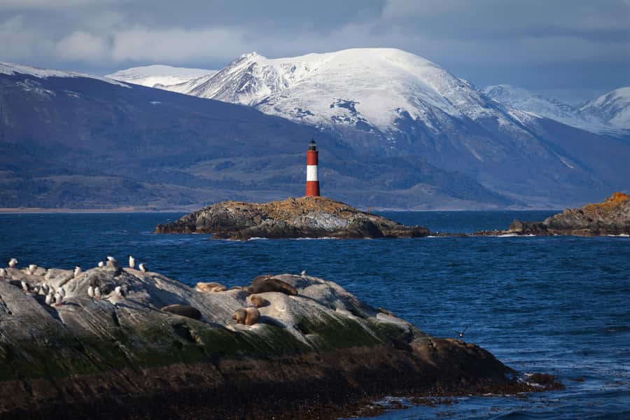Ushuaia: Beagle Channel Boat Tour and Penguin Experience - Who Will Love This Tour?