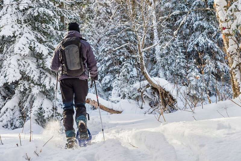 Quebec City: Jacques-Cartier National Park Snowshoeing Tour - What Makes This Tour Special?