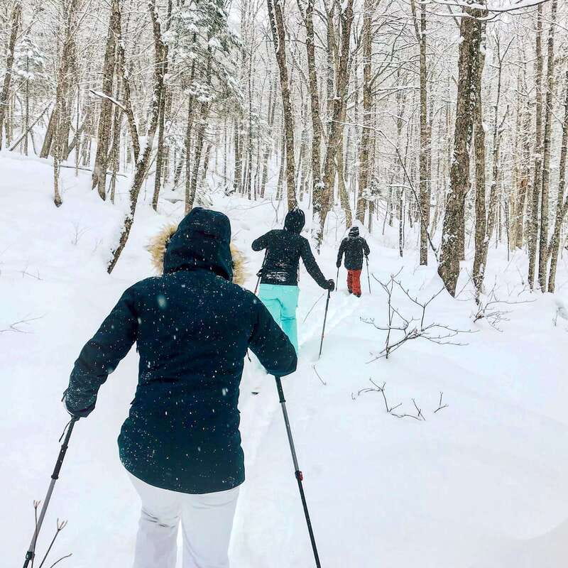 Quebec City: Jacques-Cartier National Park Snowshoeing Tour - Practicalities and Value