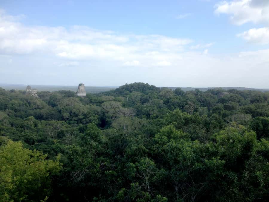 From San Ignacio: Tikal Maya Site Day-Trip with Local Lunch - Frequently Asked Questions