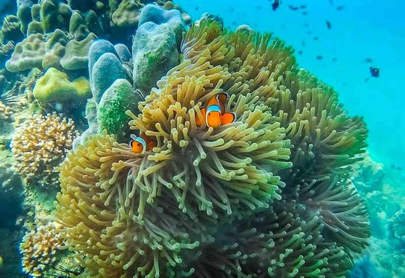 Koh Lanta: 4 Islands and Emerald Cave Snorkeling Trip - Exploring Koh Chuek (Rope Island)