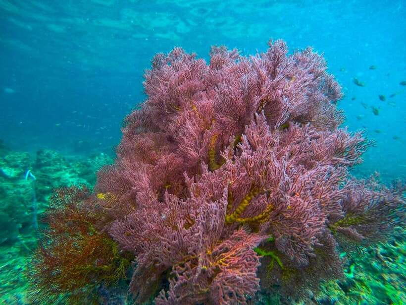 Koh Lanta: 4 Islands and Emerald Cave Snorkeling Trip - Relaxing on Koh Kradan