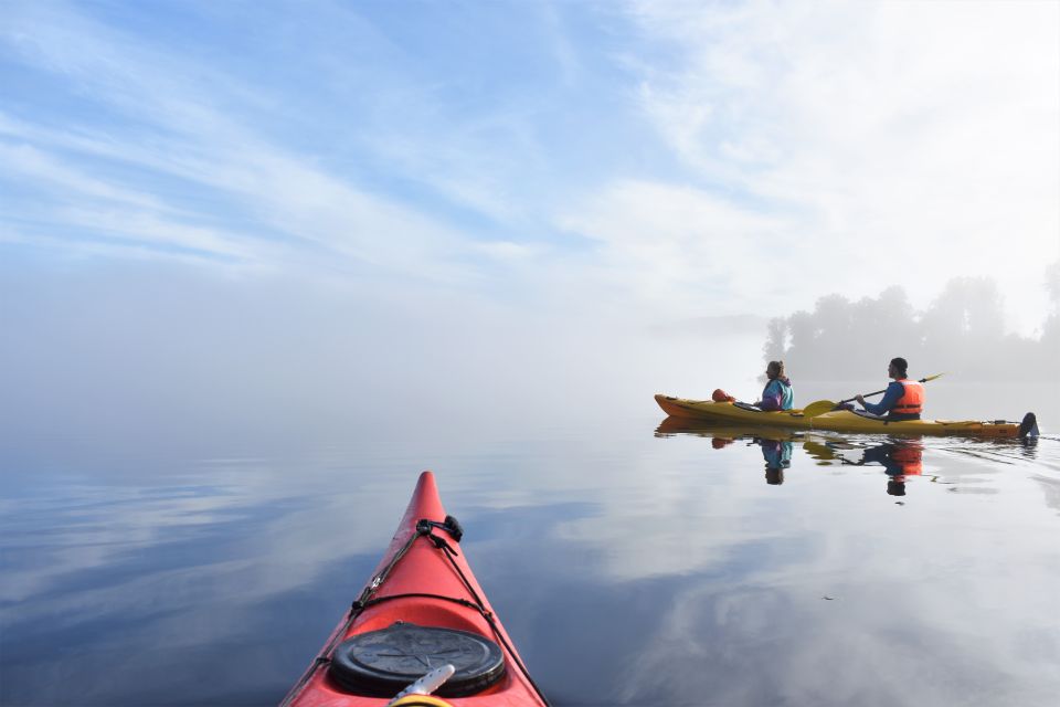 Franz Josef: 3-Hour Kayak Tour on Lake Mapourika - Final Thoughts