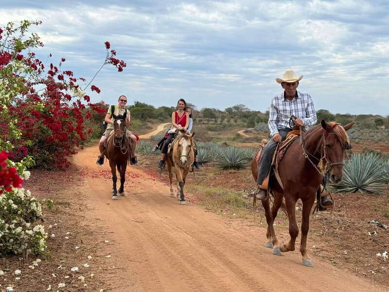Horseback riding and Temazcal combo with lunch and mezcal - Frequently Asked Questions