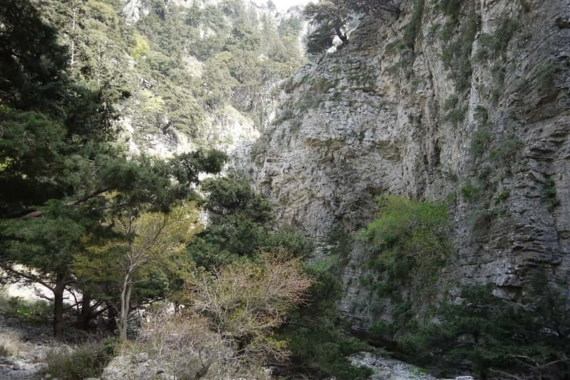 Heraklion Crete: Imbros Gorge Hike - What Past Travelers Say