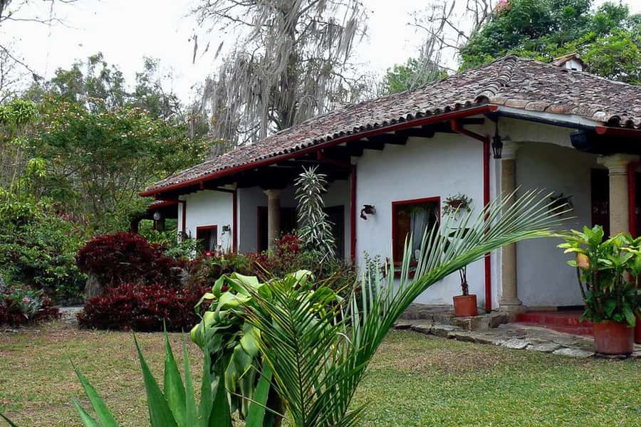 From Bogotá: Coffee Farm Experience Private Day Tour - Scenic Walks and Garden Views