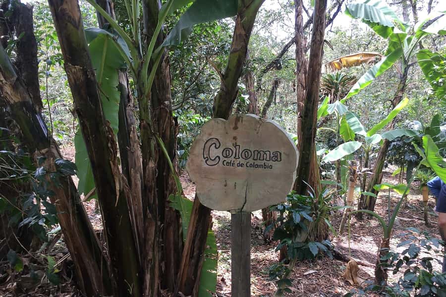 From Bogotá: Coffee Farm Experience Private Day Tour - Exploring Colombia’s Coffee Heritage