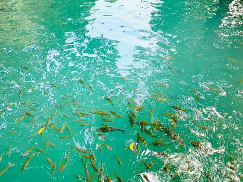 Vang Vieng: Blue Lagoon and Countryside Bike Tour with Lunch - The Sum Up