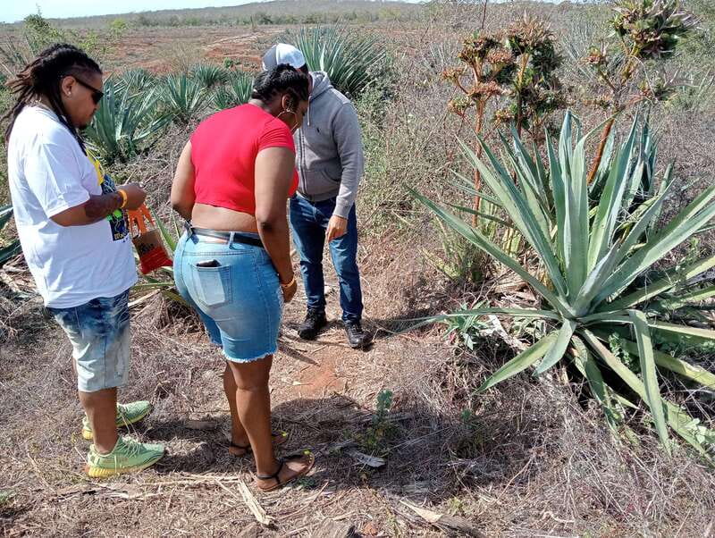 From Mazatlan: ATV & Horse Back riding with Tequila Tasting - Who Will Love This Tour?