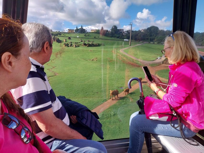 From Santander: Cabarceno Natural Park Half-Day Trip - An In-Depth Look at the Cabarceno Natural Park Half-Day Tour