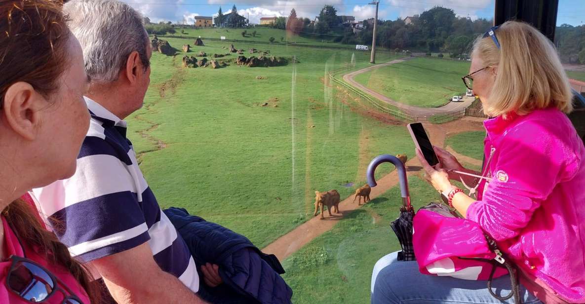 From Santander: Cabarceno Natural Park Half-Day Trip - Practical Tips for Your Visit