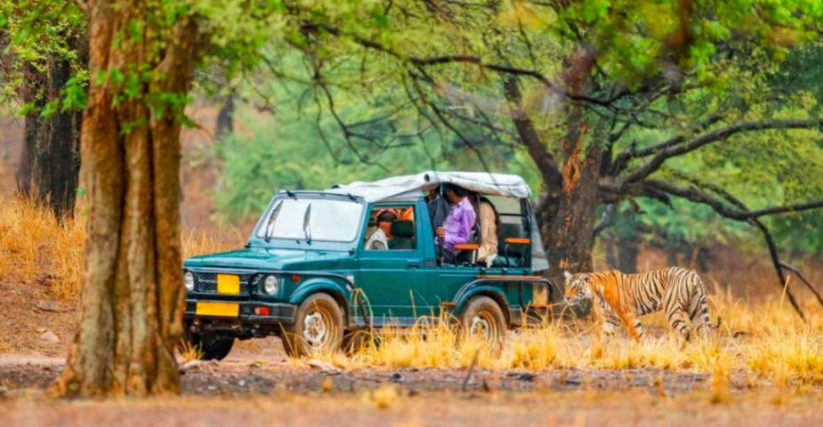 From Jaipur: Ranthambore Tiger Safari Overnight Tour - An In-Depth Look at the Ranthambore Overnight Tour