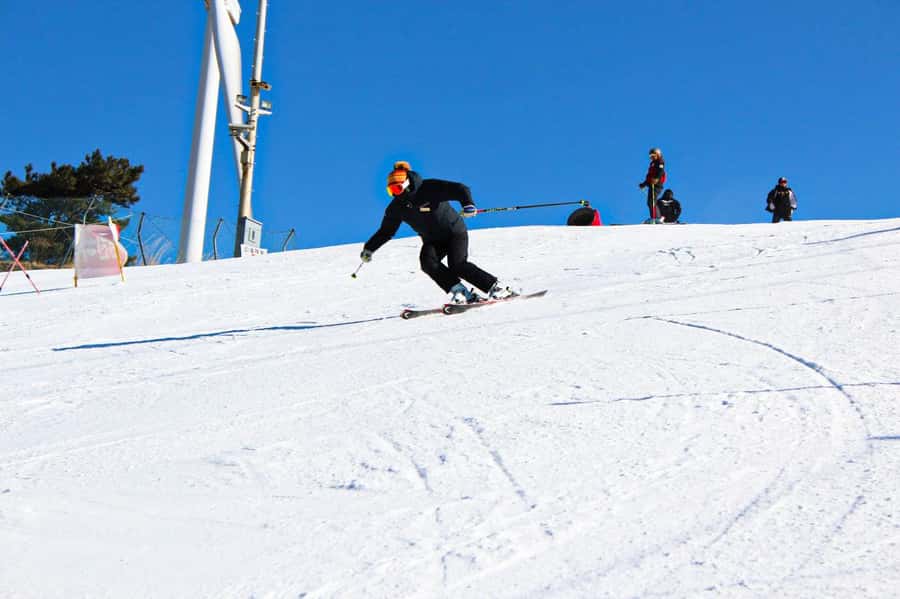 Busan: Eden Valley Resort Winter Ski Day Tour - An Overview of the Tour Experience