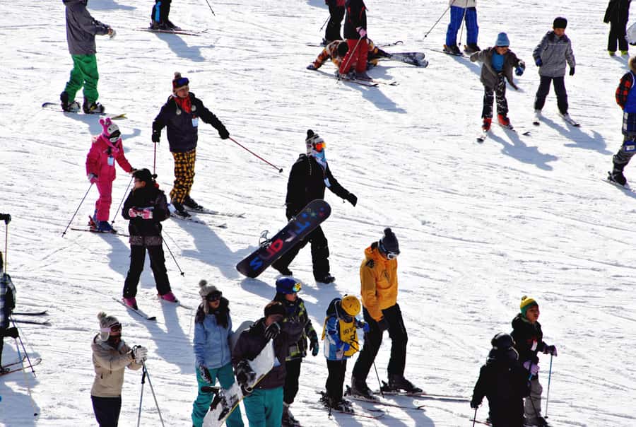 Busan: Eden Valley Resort Winter Ski Day Tour - Practical Tips for Making the Most of Your Day