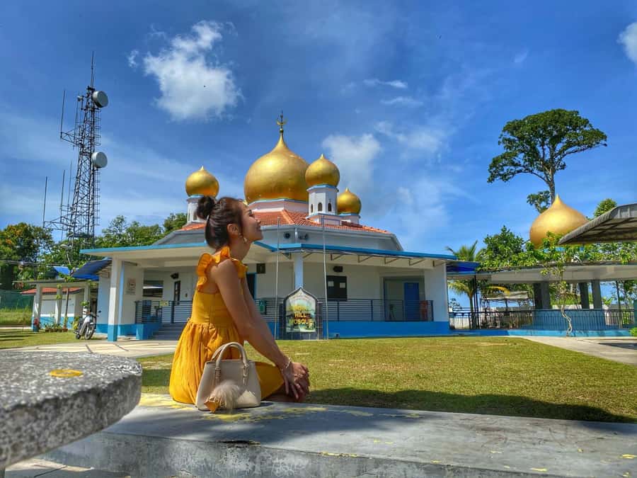 Penang: Iconic Temples and Penang Hills Half-Day Tour - Key Points