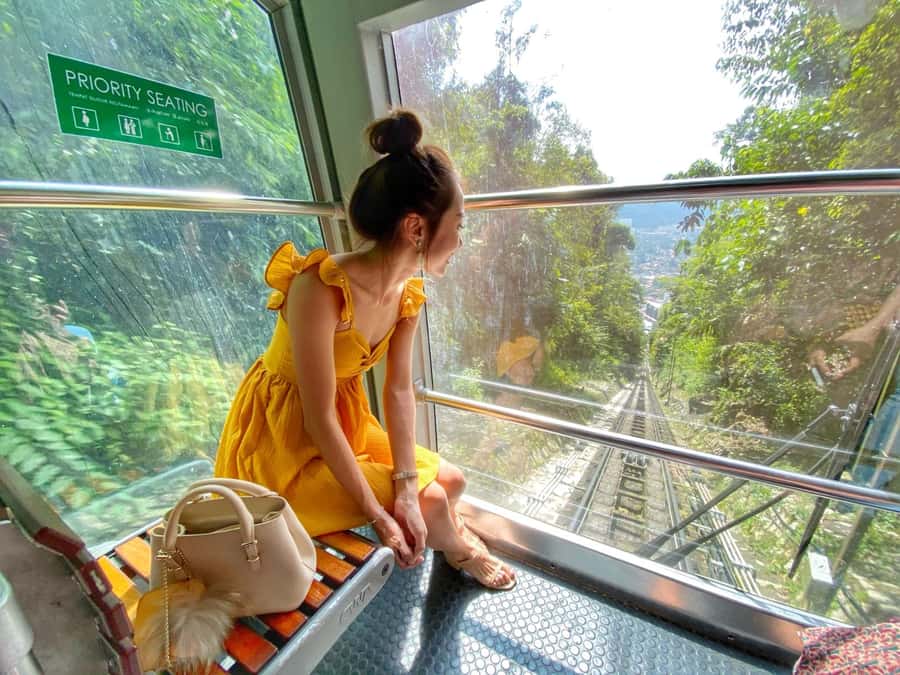 Penang: Iconic Temples and Penang Hills Half-Day Tour - Who Will Love This Tour?