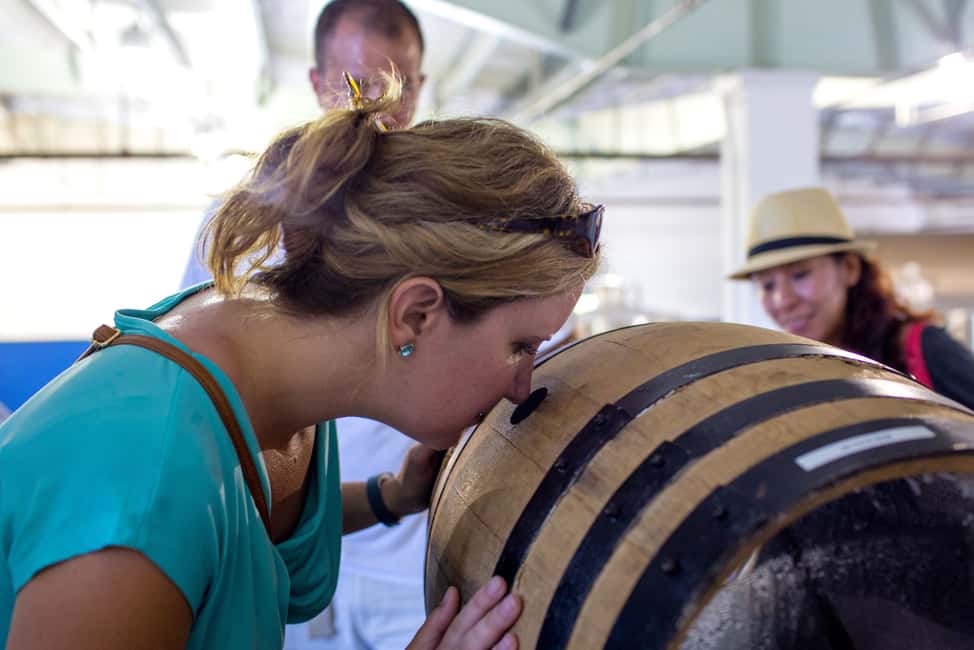 Nassau: Rum Tastings and Culinary Walking Tour - Key Points