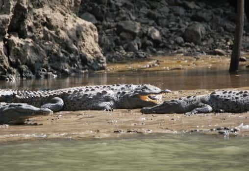 Sumidero Canyon & Chiapa de Corzo: Day Tour from Tuxtla - Authentic Traveler Opinions and Real-World Insights